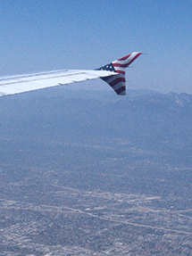 plane wing